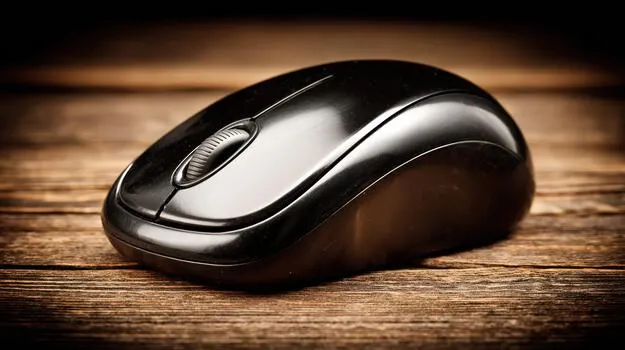 Computer Mouse